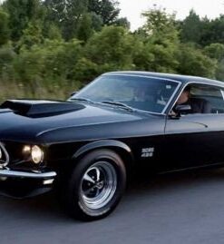 MUSTANG (1969-1970)